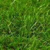 Artificial Grass 4.4'x32.8'/1.6" Green